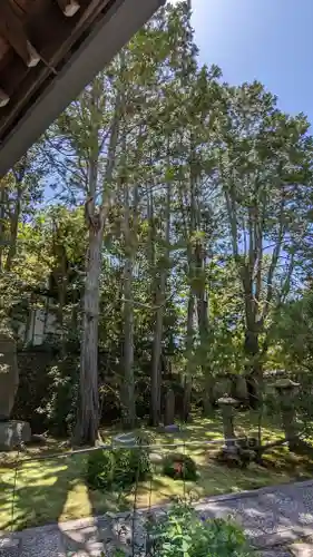 善慧院(京都府)