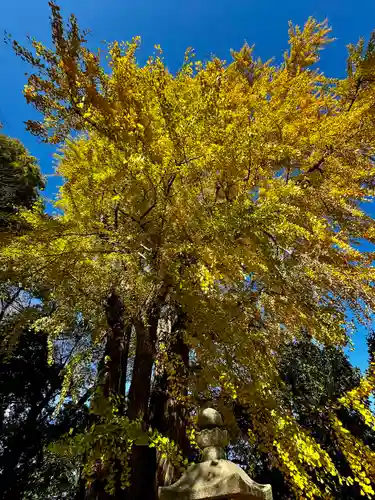 三栖神社(京都府)