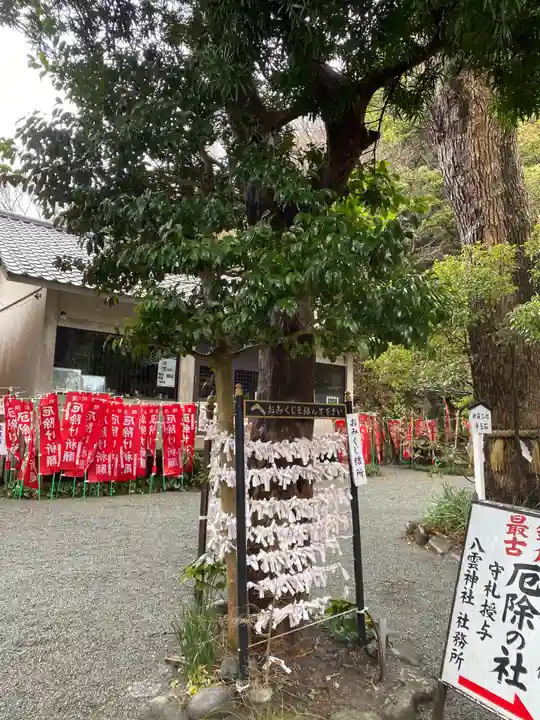 八雲神社(鎌倉・大町)のおみくじ