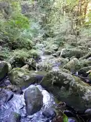 大澤瀧神社の自然