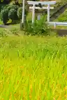 熊野神社(神奈川県)