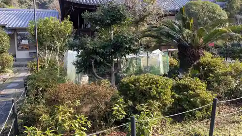 惠心院の庭園