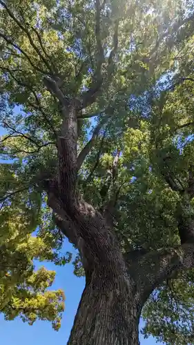 玉田神社(京都府)