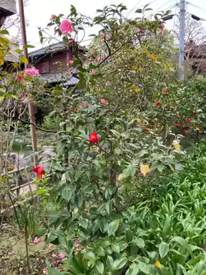 大巧寺(神奈川県)
