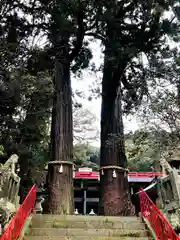 八幡朝見神社(大分県)