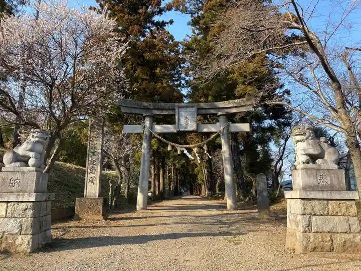 千代ケ岡八幡宮(栃木県)