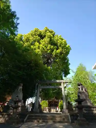 諏訪神社(東京都)