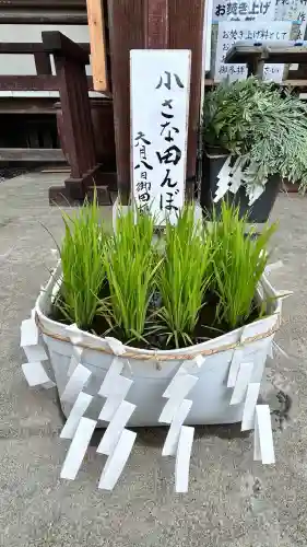 七重浜海津見神社(北海道)