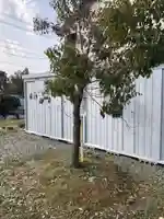 速星神社の自然