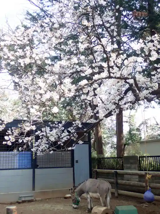 天照皇大神(神奈川県)