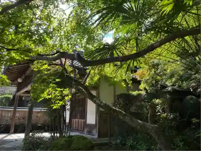 勝持寺（花の寺）(京都府)