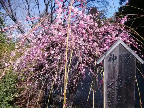 進雄神社(群馬県)
