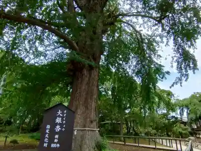 六地蔵寺(茨城県)