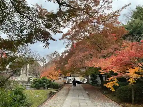 養源院(京都府)