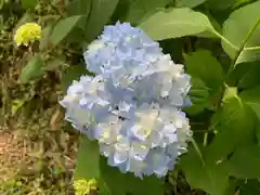 普門寺(切り絵御朱印発祥の寺)(愛知県)