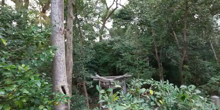 木嶋坐天照御魂神社の周辺