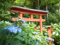 鷲子山上神社の鳥居