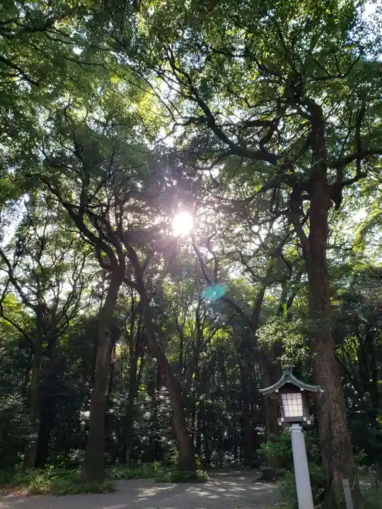 明治神宮の自然