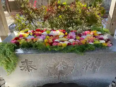 金蛇水神社(宮城県)