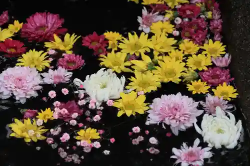 大鏑神社の手水舎