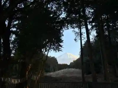 山宮浅間神社の{uncategorized: "未分類", other: "その他", undefined: "問題あり", building: "その他建物", grave: "お墓", sacred_gate: "鳥居", guardian: "狛犬", statue: "像", buddha: "仏像", history: "歴史", nature: "自然", garden: "庭園", animal: "動物", pagoda: "塔", temizu: "手水舎", mountain_gate: "山門・神門", sanctuary: "本殿・本堂", subordinate: "末社・摂社", art: "芸術", scenery: "景色", jizo: "地蔵", ema: "絵馬", goshuin: "御朱印", omikuji: "おみくじ", items: "授与品その他", amulet: "お守り", goshuincho: "御朱印帳", eats: "食事", festival: "お祭り", votive_dance: "神楽", shichigosan: "七五三参", wedding: "結婚式", experience: "体験その他", initially: "初詣", around: "周辺", anti_infection: "感染症対策"}