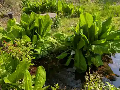 鹿島大神宮(福島県)