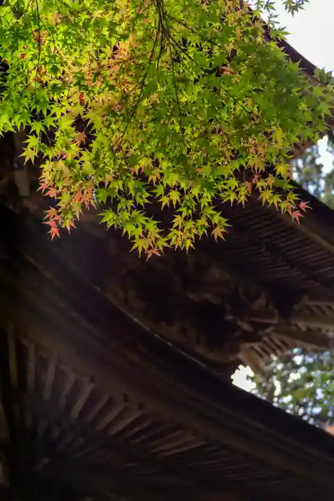 新海三社神社(長野県)