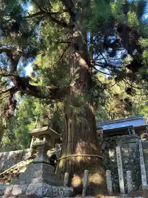 八柱神社(長野県)