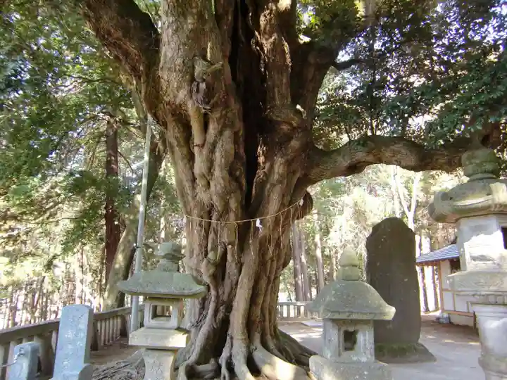 雨引千勝神社の自然