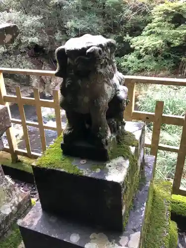 御所神社の狛犬