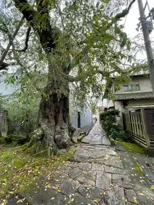 神宮寺(長野県)