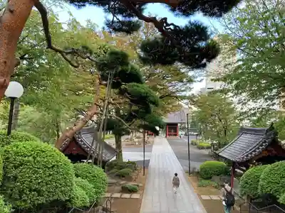 護国寺(東京都)