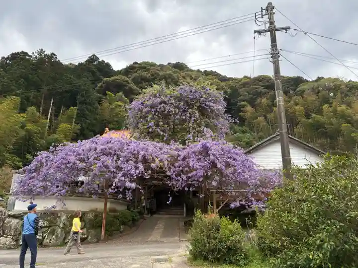神光寺(徳島県)