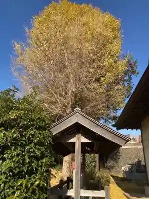 隆安寺(神奈川県)