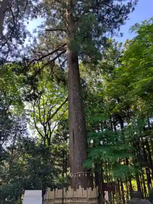 水澤寺(水澤観世音)(群馬県)