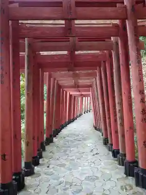 祐徳稲荷神社(佐賀県)