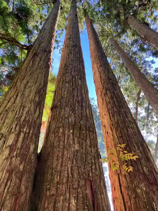 高野山金剛峯寺奥の院(和歌山県)