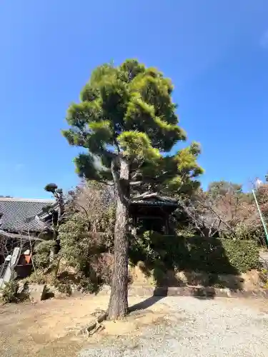 高倉寺の{uncategorized: "未分類", other: "その他", undefined: "問題あり", building: "その他建物", grave: "お墓", sacred_gate: "鳥居", guardian: "狛犬", statue: "像", buddha: "仏像", history: "歴史", nature: "自然", garden: "庭園", animal: "動物", pagoda: "塔", temizu: "手水舎", mountain_gate: "山門・神門", sanctuary: "本殿・本堂", subordinate: "末社・摂社", art: "芸術", scenery: "景色", jizo: "地蔵", ema: "絵馬", goshuin: "御朱印", omikuji: "おみくじ", items: "授与品その他", amulet: "お守り", goshuincho: "御朱印帳", eats: "食事", festival: "お祭り", votive_dance: "神楽", shichigosan: "七五三参", wedding: "結婚式", experience: "体験その他", initially: "初詣", around: "周辺", anti_infection: "感染症対策"}
