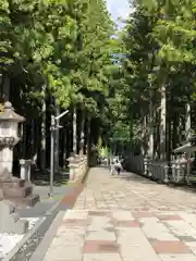 高野山金剛峯寺奥の院(和歌山県)