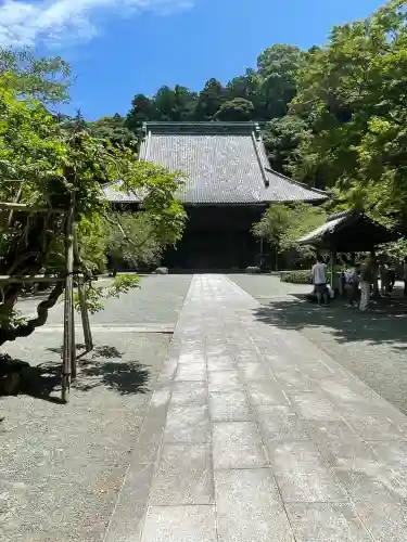 妙本寺(神奈川県)