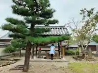 善導寺の手水舎