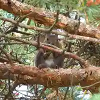 美幌神社(北海道)