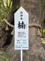 大麻比古神社(徳島県)