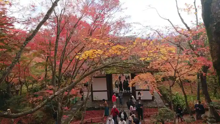 常寂光寺のその他建物