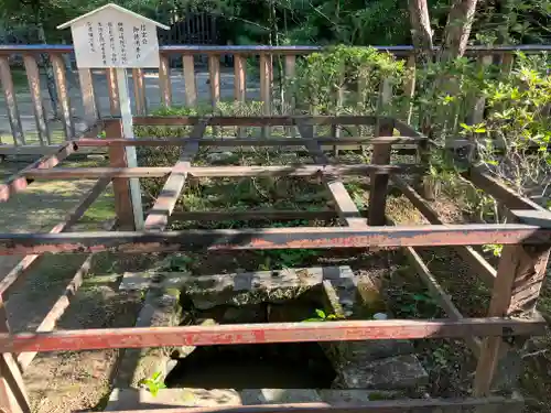 武田神社の庭園