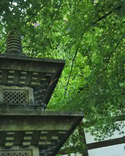 蕃松院(長野県)