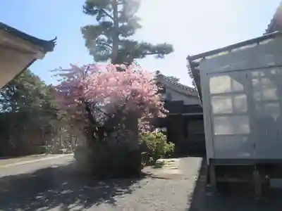 松蔭寺(静岡県)