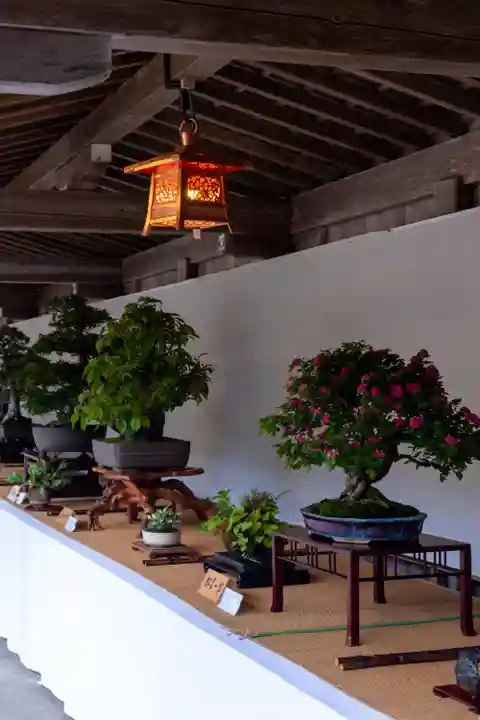 彌彦神社の自然