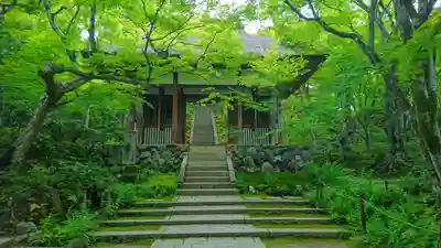 常寂光寺(京都府)