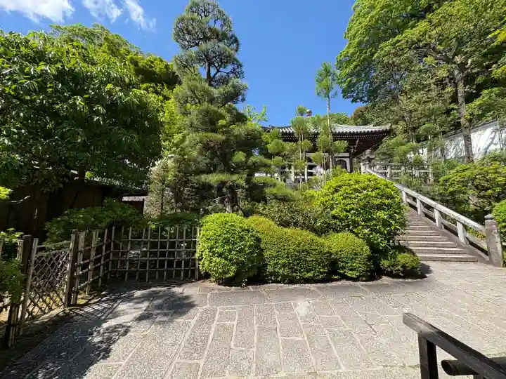 知恩院の{uncategorized: "未分類", other: "その他", undefined: "問題あり", building: "その他建物", grave: "お墓", sacred_gate: "鳥居", guardian: "狛犬", statue: "像", buddha: "仏像", history: "歴史", nature: "自然", garden: "庭園", animal: "動物", pagoda: "塔", temizu: "手水舎", mountain_gate: "山門・神門", sanctuary: "本殿・本堂", subordinate: "末社・摂社", art: "芸術", scenery: "景色", jizo: "地蔵", ema: "絵馬", goshuin: "御朱印", omikuji: "おみくじ", items: "授与品その他", amulet: "お守り", goshuincho: "御朱印帳", eats: "食事", festival: "お祭り", votive_dance: "神楽", shichigosan: "七五三参", wedding: "結婚式", experience: "体験その他", initially: "初詣", around: "周辺", anti_infection: "感染症対策"}